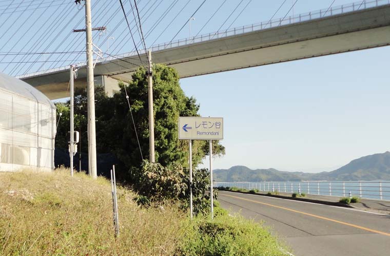 生口島の垂水地区にある「レモン谷」