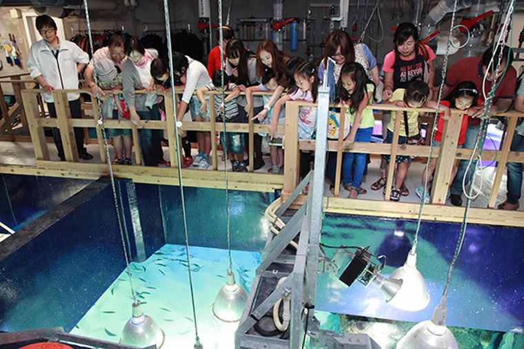 サンシャイン水族館　イベント「探検ガイドツアー」「エサやり体験」