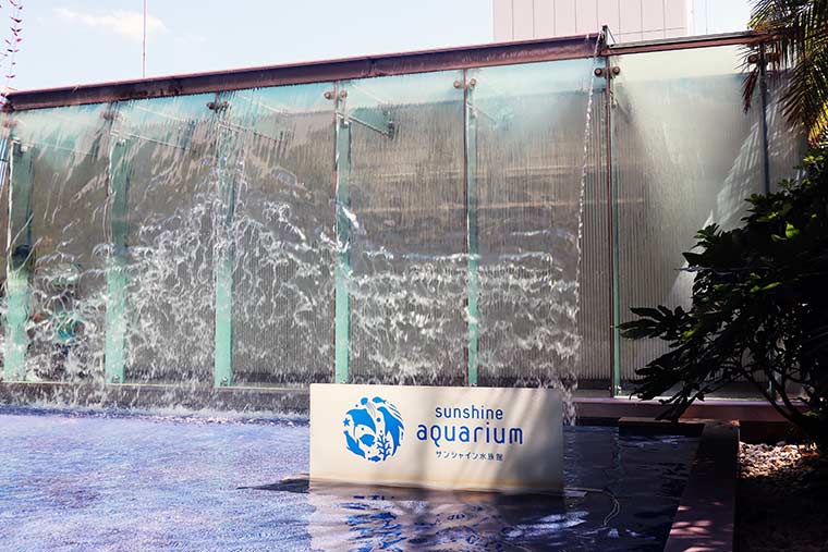 サンシャイン水族館　年間パスポート