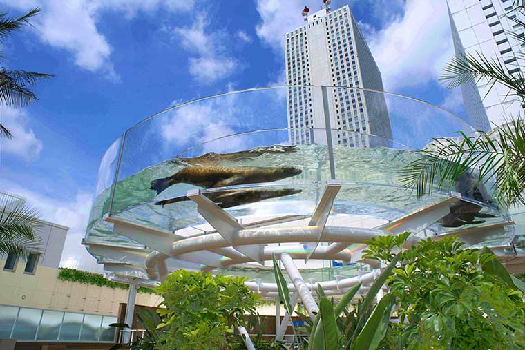 サンシャイン水族館 天空の旅 「サンシャインアクアリング」