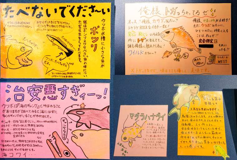 竹島水族館 シュールな手書き解説ポップ