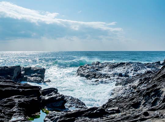 城ヶ島