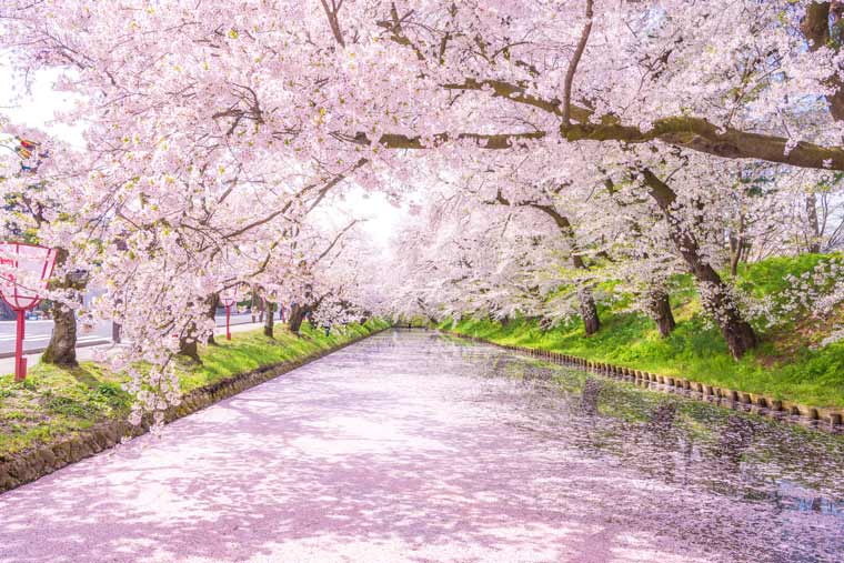弘前公園