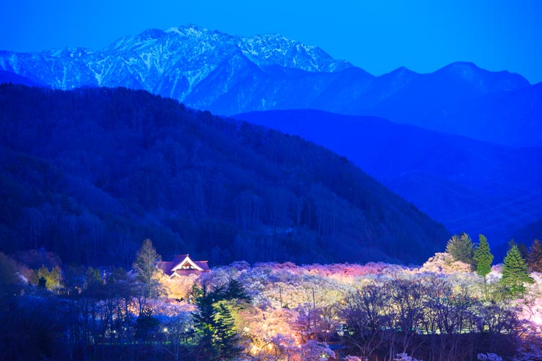 高遠城址公園
