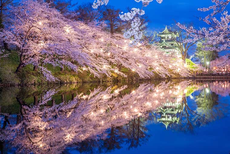 高田城址公園