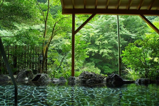 箱根温泉　鶴井の宿　紫雲荘