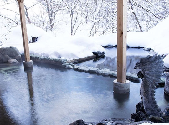 源泉掛流しの湯めぐりテーマパーク 龍洞（貸切露天風呂「大龍」）