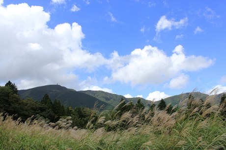 仙石原温泉