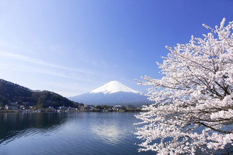 河口湖温泉