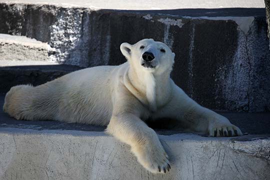 浜松市動物園