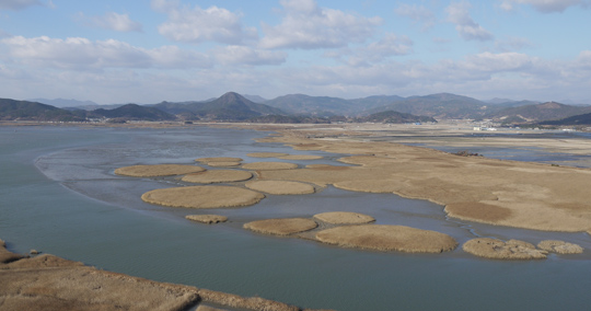 順天湾