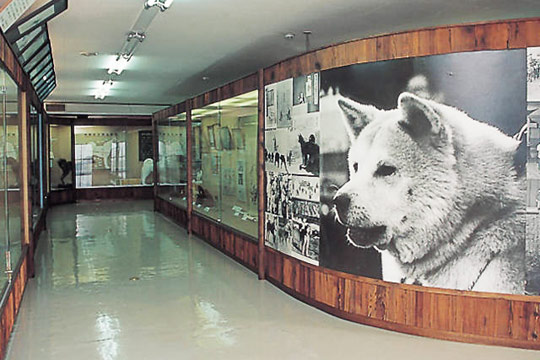 秋田犬会館