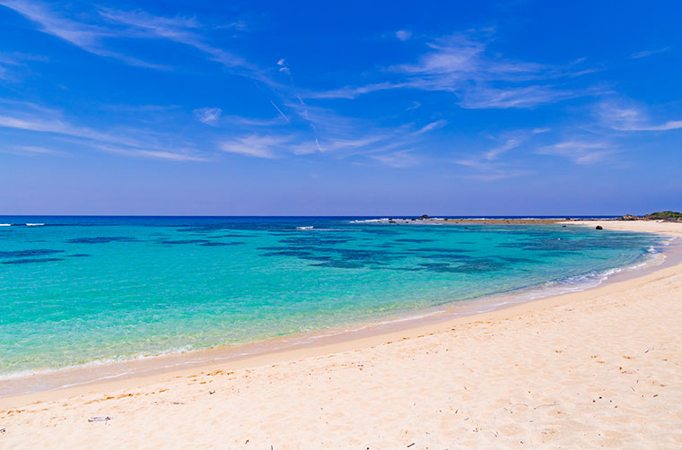 土盛海岸