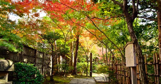 楽水園