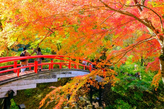 河鹿橋