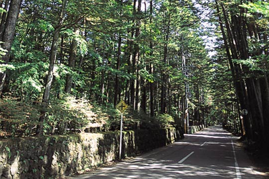 別荘地散策