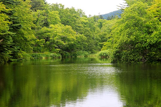 雲場池