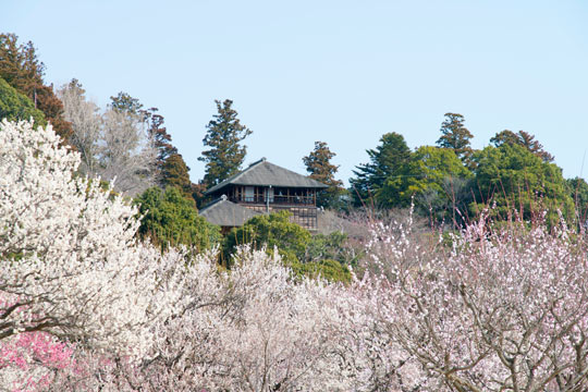 偕楽園