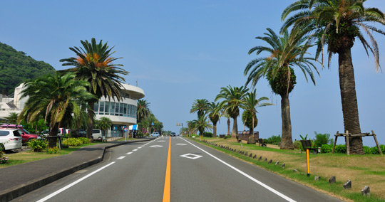 日南海岸