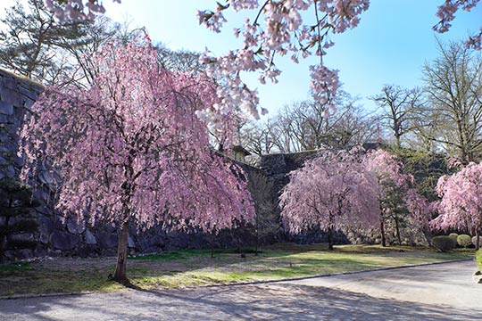 盛岡城跡公園(岩手公園)