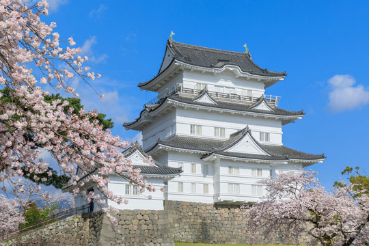 小田原城