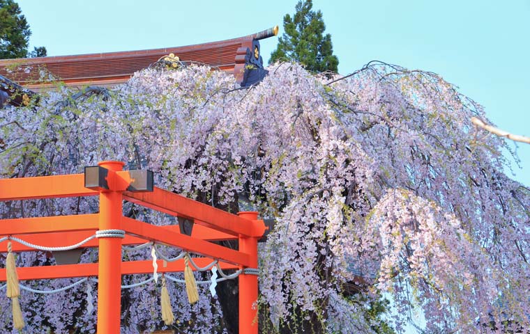 榴岡天満宮