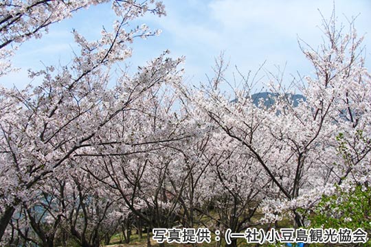 城山公園