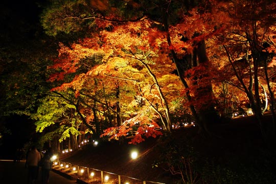 修善寺虹の郷