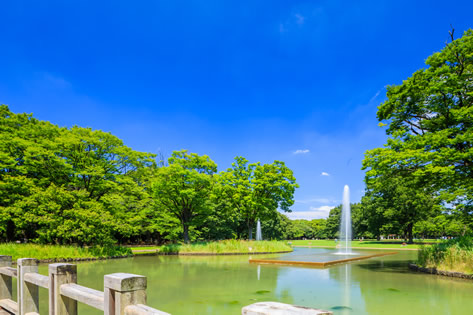 代々木公園
