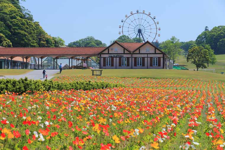 東京ドイツ村