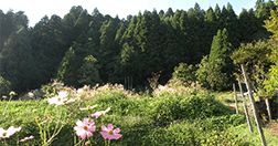 長治庵