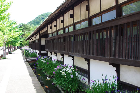 津和野＜山陰の小京都＞