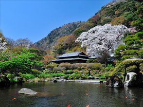 箱根湯本温泉 吉池旅館