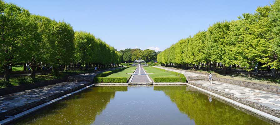 国営昭和記念公園 カナール