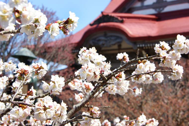清隆寺