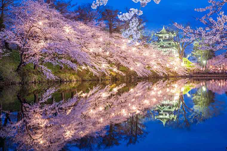 高田城址公園