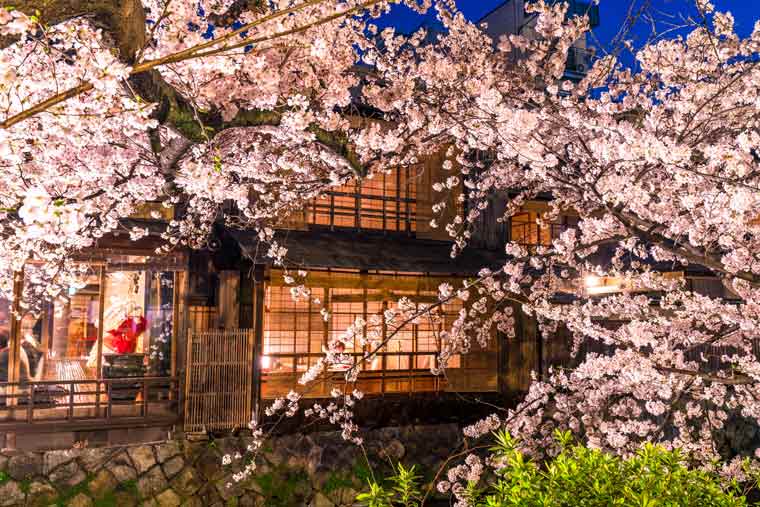 祇園白川のライトアップ