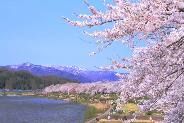 桧木内川堤