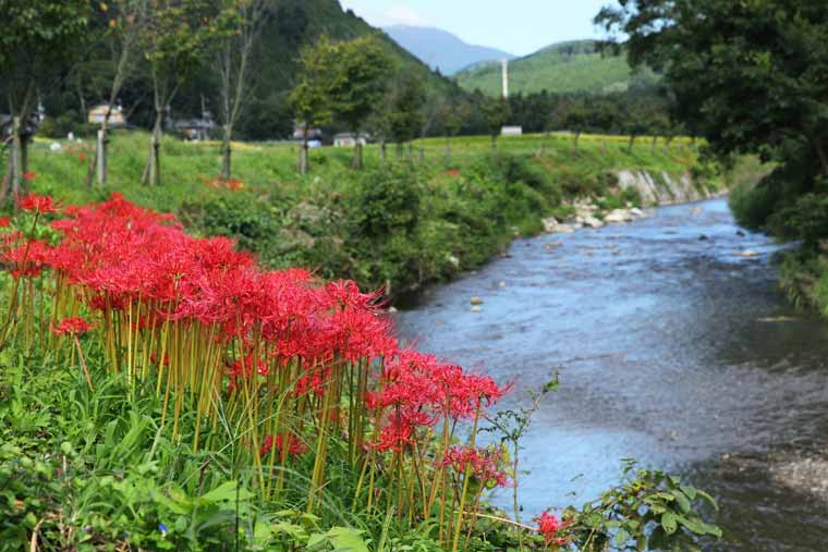 大原の里