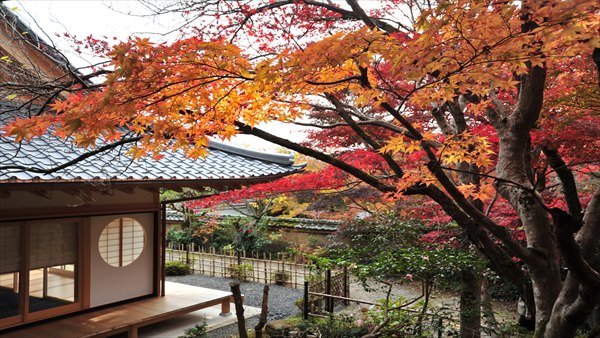 勝持寺