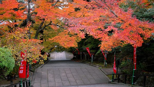 法輪寺