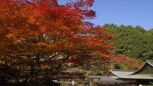 日向大神宮