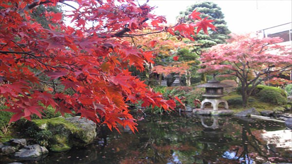 御所西京都平安ホテル庭園