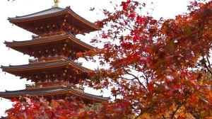 成相寺