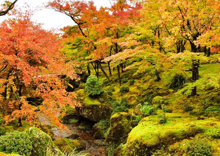 箱根美術館