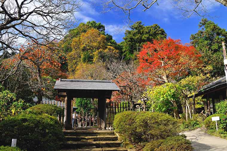 浄智寺