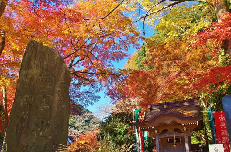 高尾山
