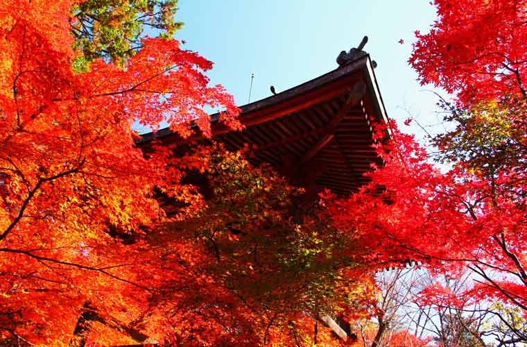 平林寺