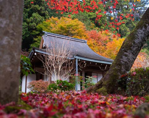 寂光院