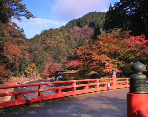 高雄山神護寺